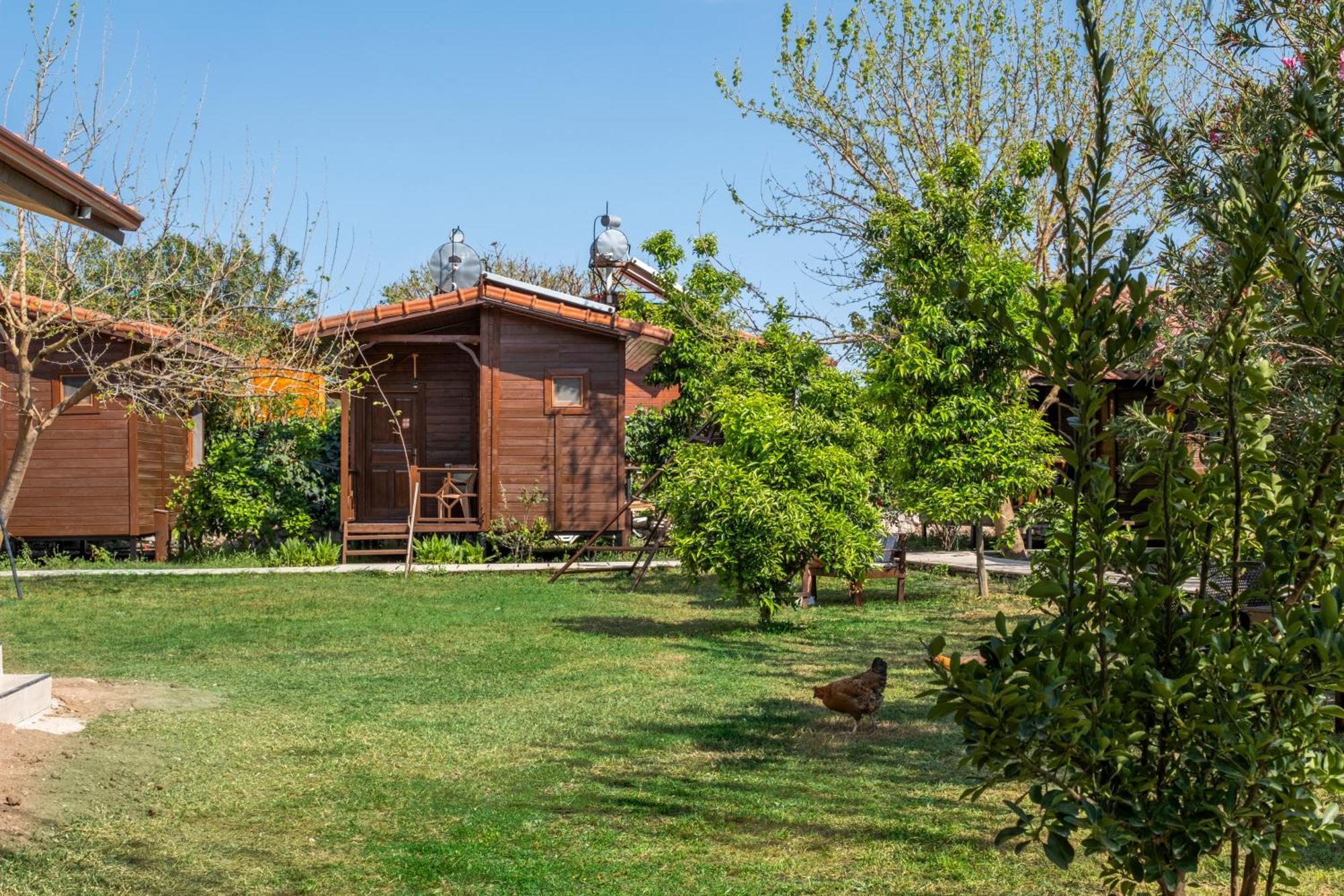 Cirali La Maison Hotel Κεμέρ Εξωτερικό φωτογραφία