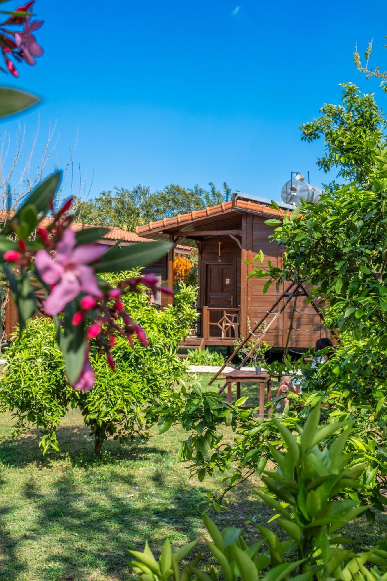 Cirali La Maison Hotel Κεμέρ Εξωτερικό φωτογραφία