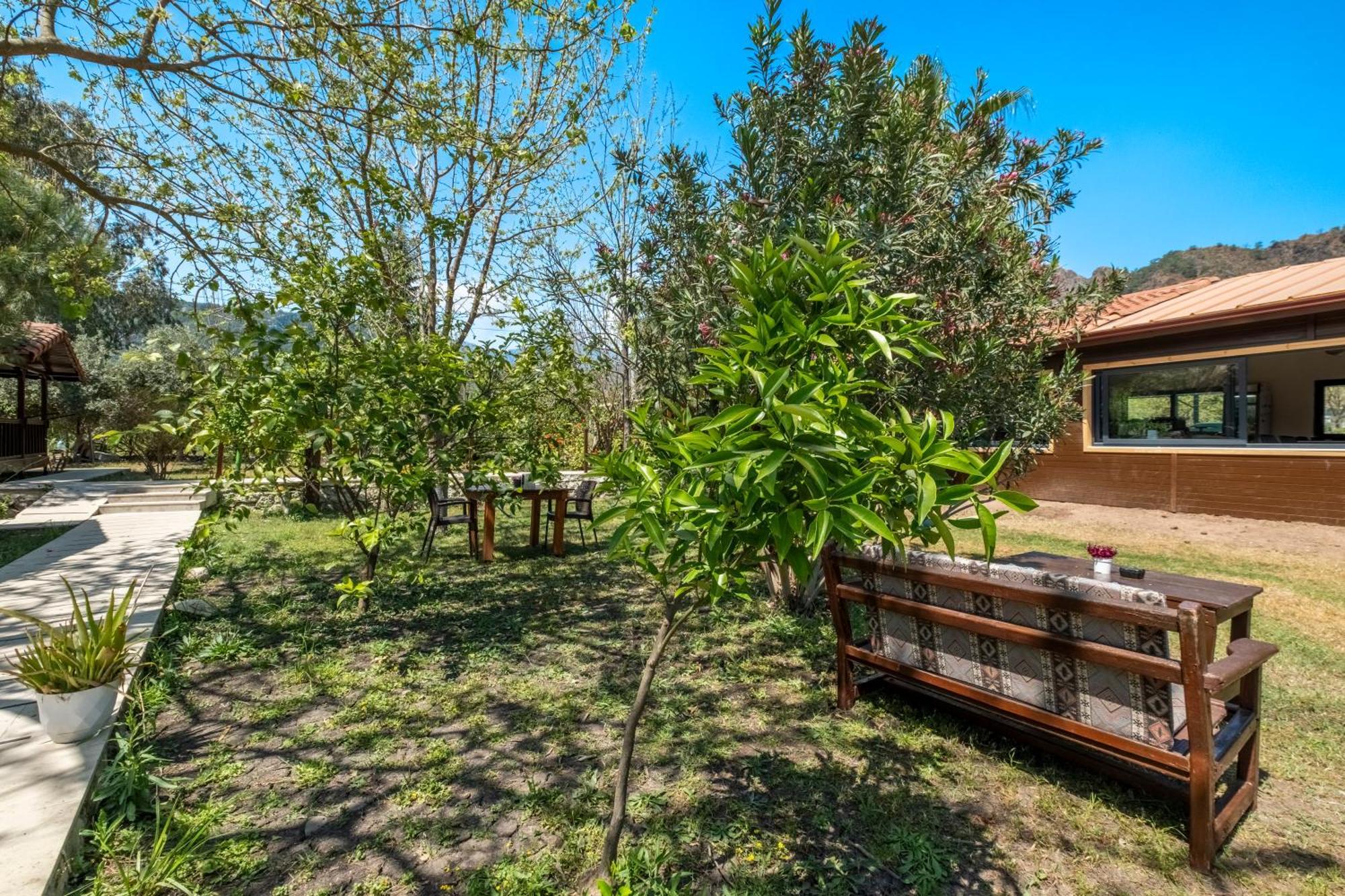 Cirali La Maison Hotel Κεμέρ Εξωτερικό φωτογραφία
