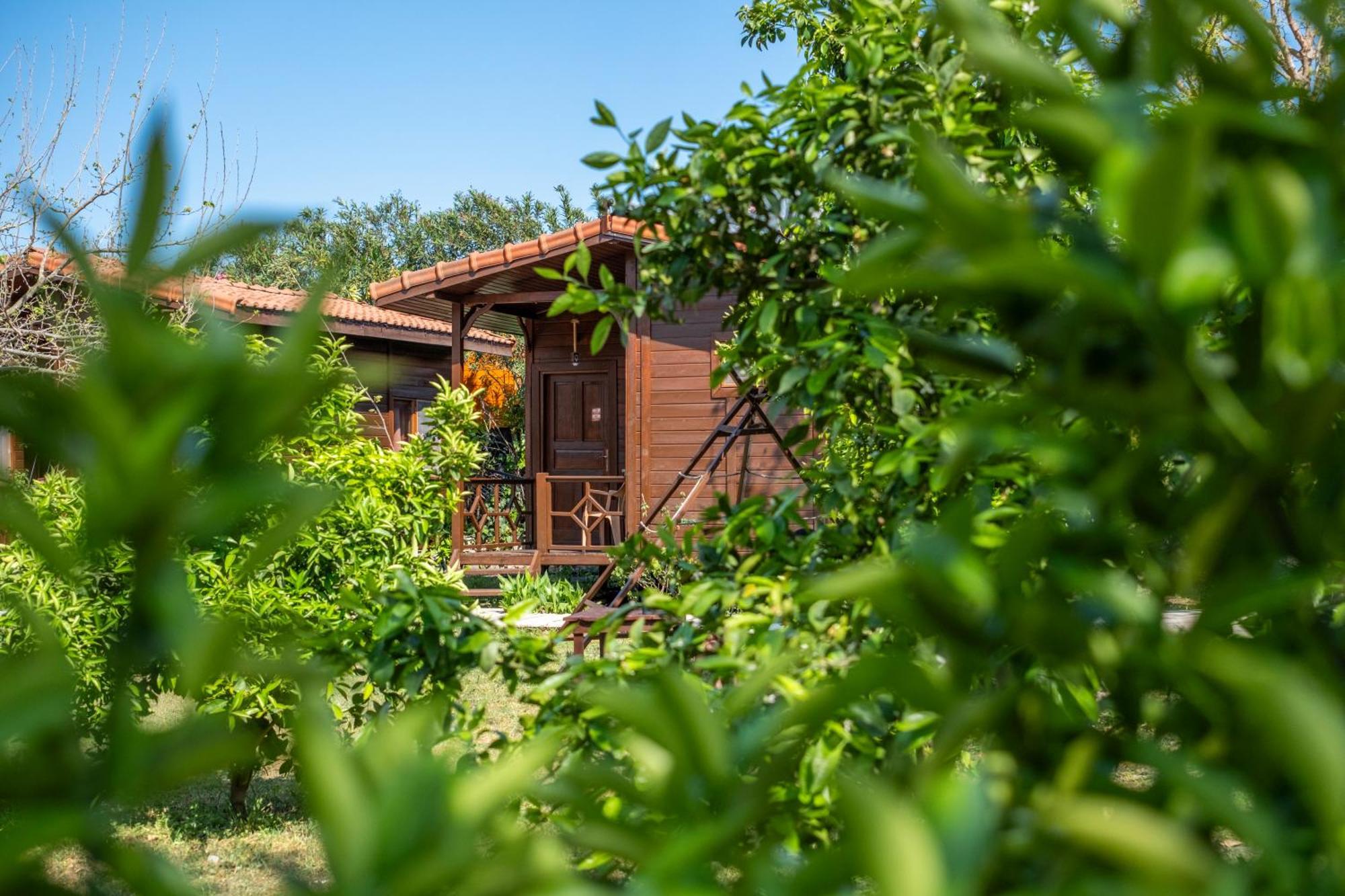 Cirali La Maison Hotel Κεμέρ Εξωτερικό φωτογραφία