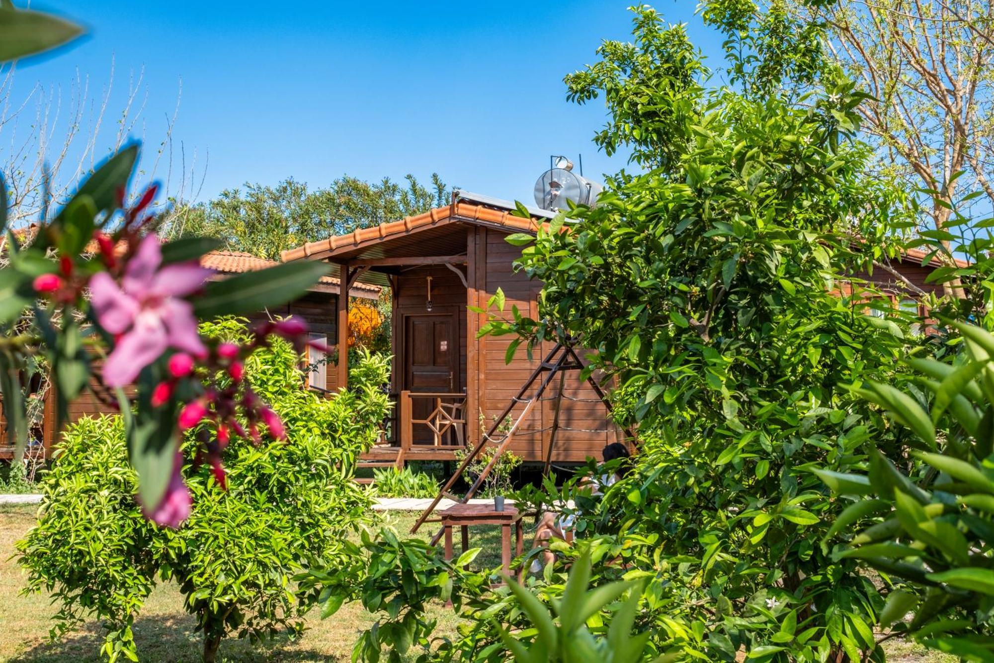 Cirali La Maison Hotel Κεμέρ Εξωτερικό φωτογραφία