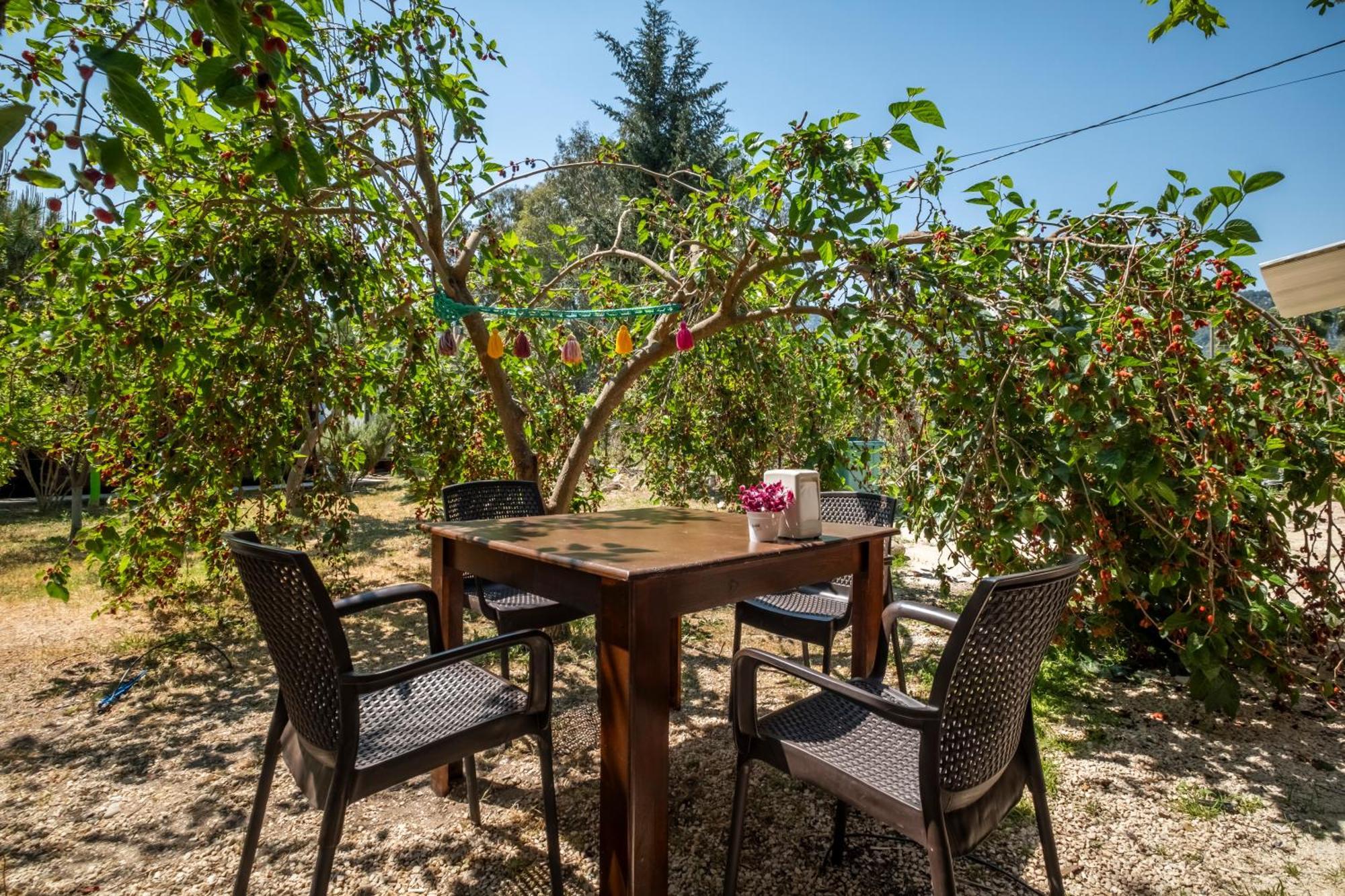 Cirali La Maison Hotel Κεμέρ Εξωτερικό φωτογραφία