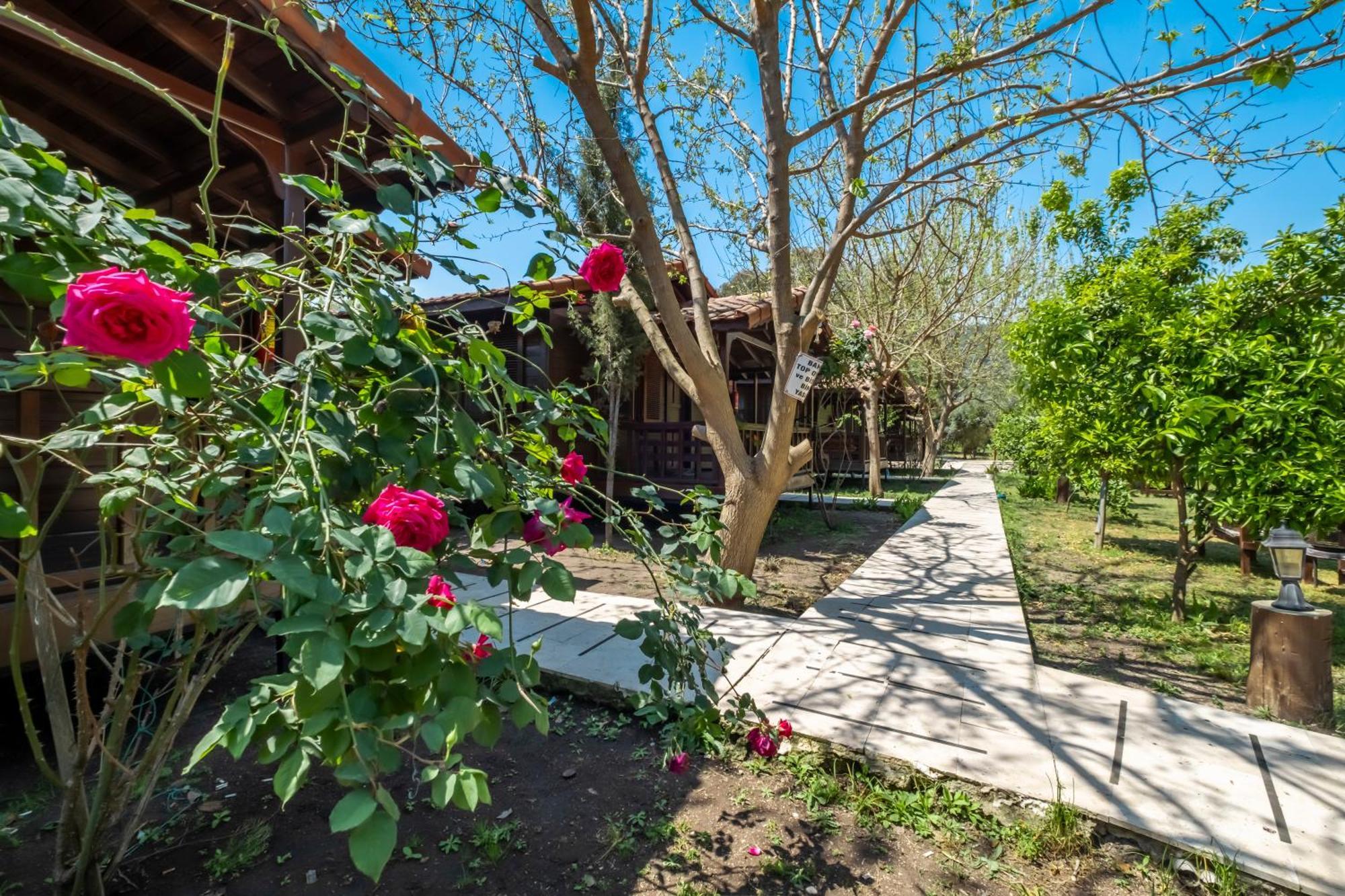 Cirali La Maison Hotel Κεμέρ Εξωτερικό φωτογραφία