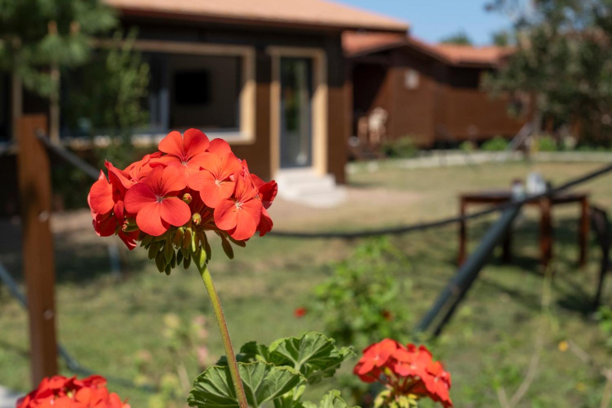 Cirali La Maison Hotel Κεμέρ Εξωτερικό φωτογραφία